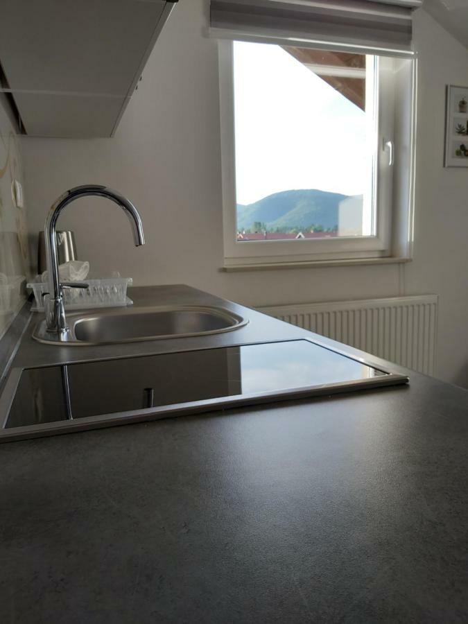 Apartmani Brigita Korenica Bagian luar foto